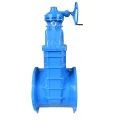 DIN F4 Mechanical Gate Valve with Nut Head